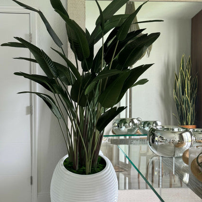 Bird of Paradise Plant in White Spiral Vase
