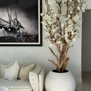 White Magnolia Tree in Glossy White Globe Pot, 76 cm